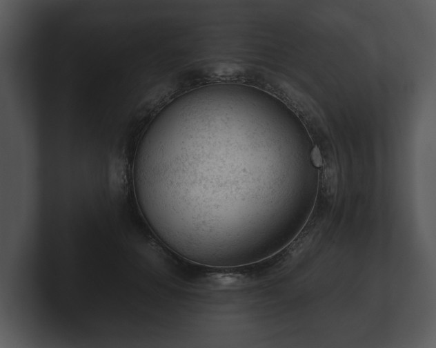 X0000103160654200808291451