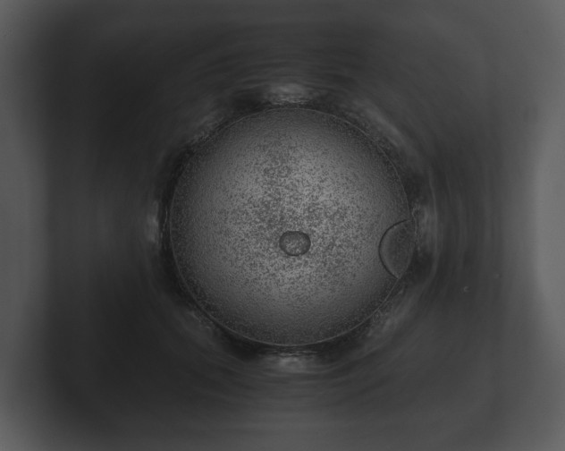 X0000103160655200808291451