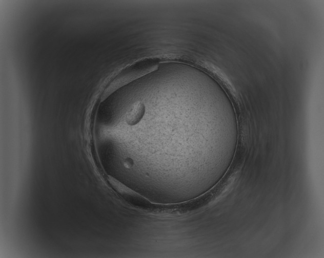 X0000103160673200808291451