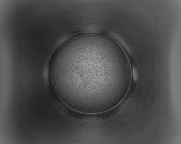 X0000103160675200808291451