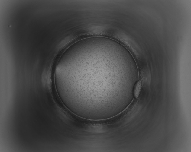 X0000103160677200808291451
