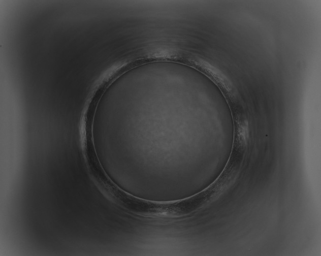 X0000103160678200808291451