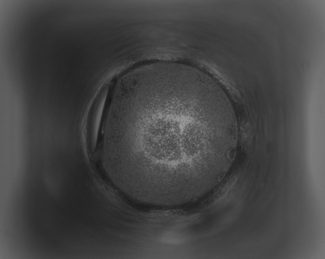 X0000103160679200808291451