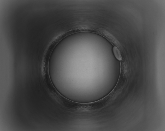 X0000103160680200808291451