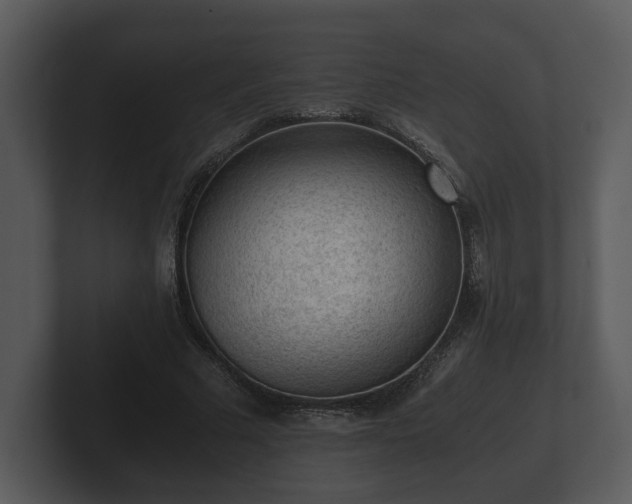 X0000103160681200808291451