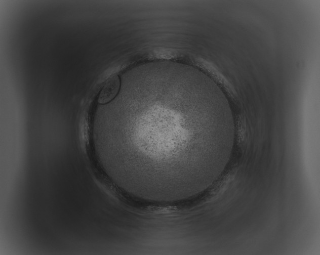 X0000103160683200808291451