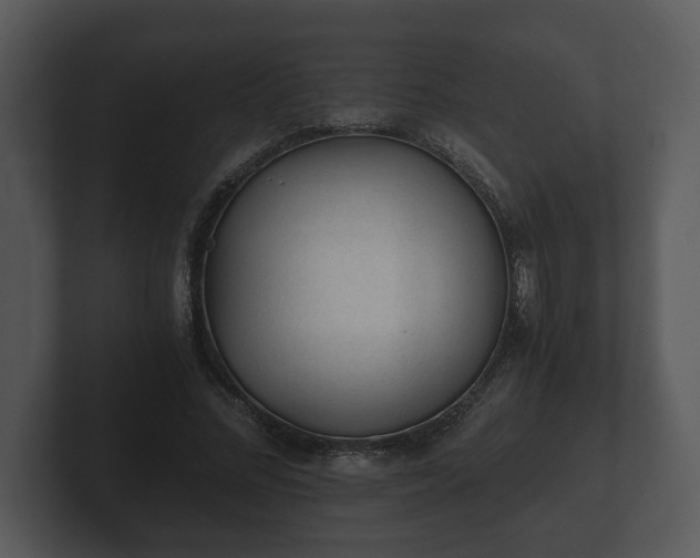 X0000103160684200808291450