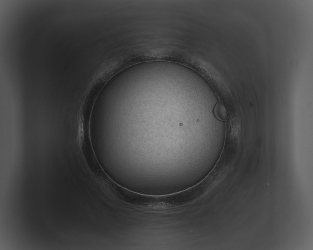 X0000103160685200808291450