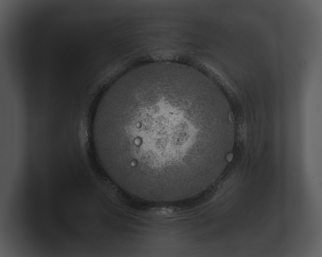X0000103160687200808291450