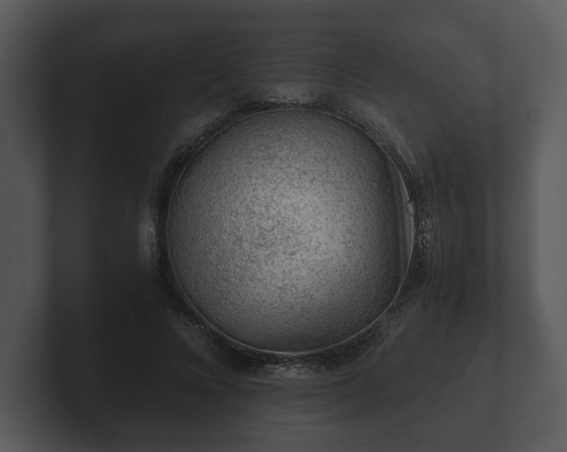 X0000103160688200808291450
