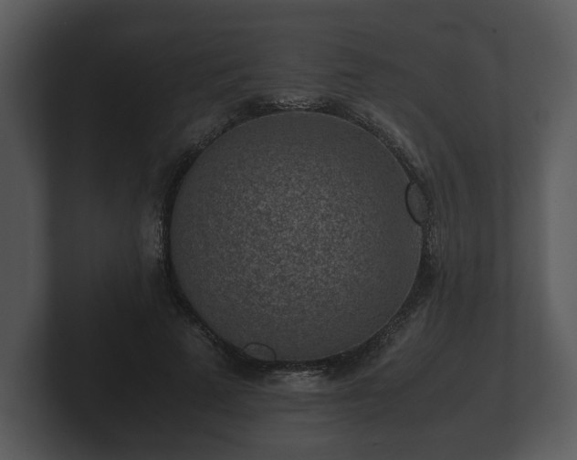X0000103160689200808291450