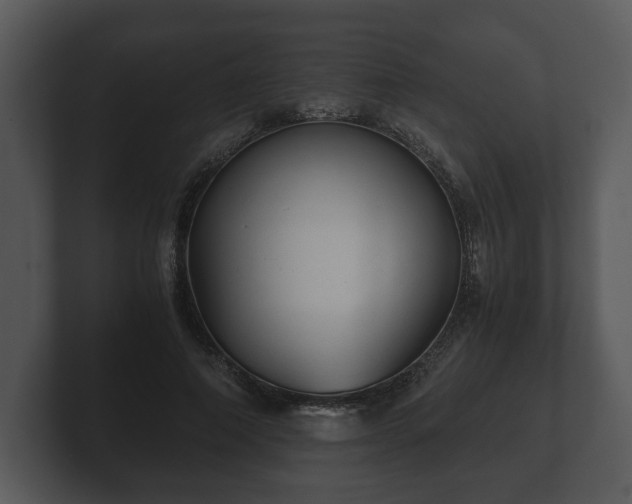 X0000103160690200808291450