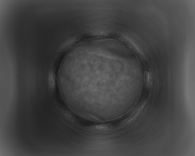 X0000103160692200808291450