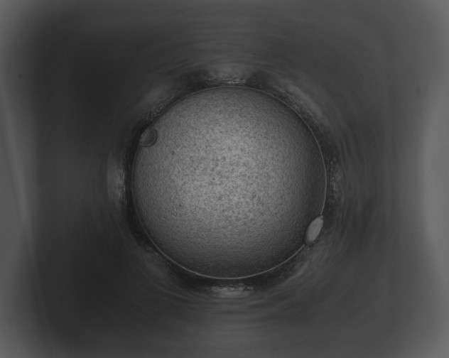 X0000103160693200808291450