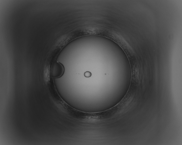 X0000103160694200808291450