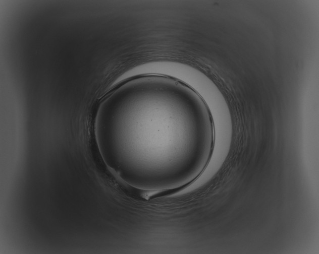 X0000103160695200808291450