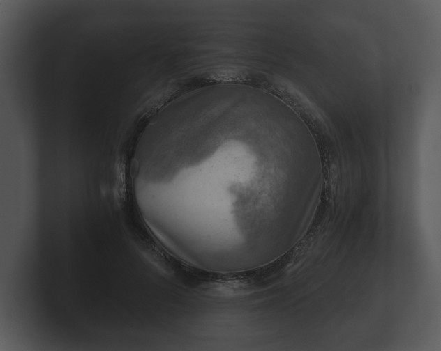 X0000103160696200808291450
