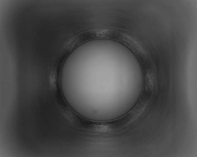 X0000103160698200808291450
