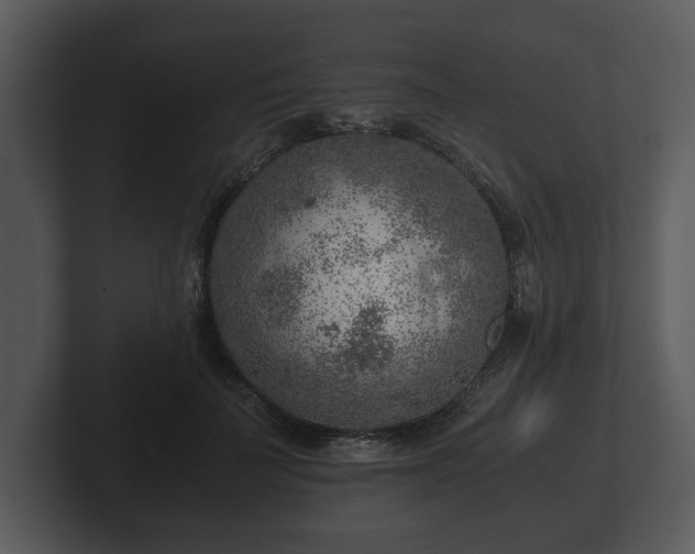 X0000103160699200808291450