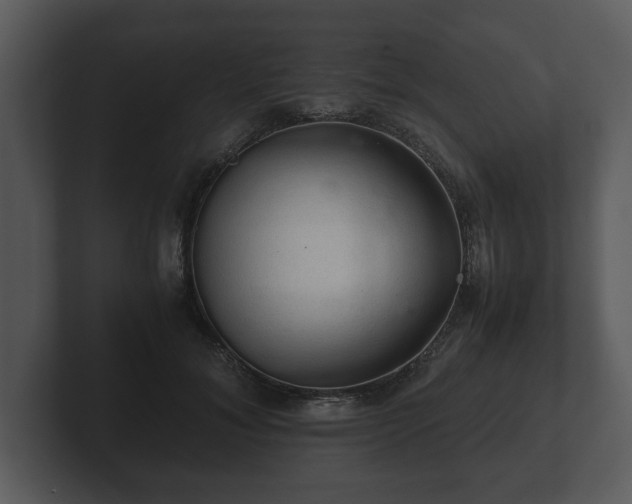 X0000103160700200808291450