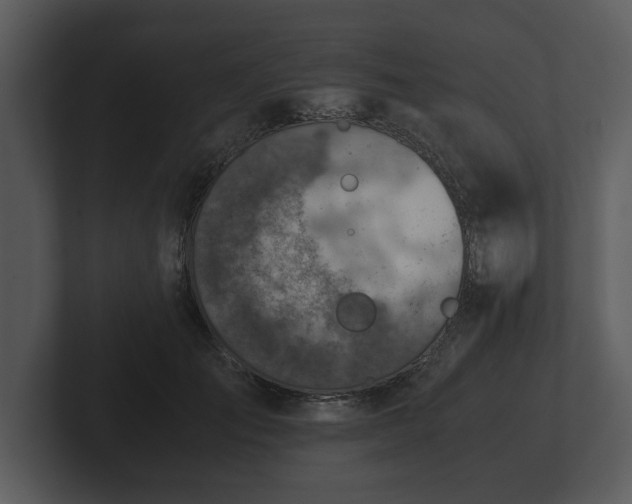 X0000103160701200808291450
