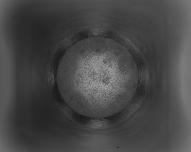 X0000103160703200808291450