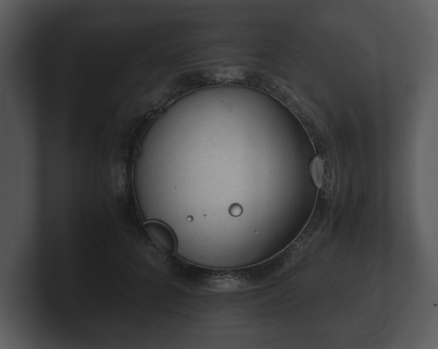 X0000103160704200808291450