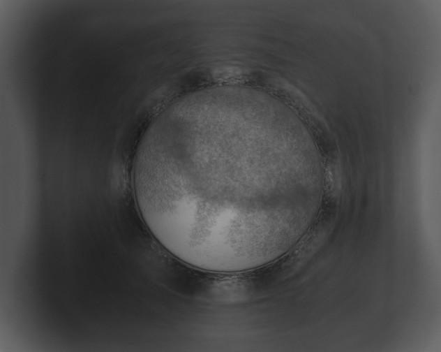 X0000103160705200808291450
