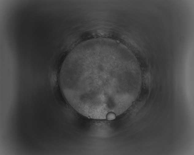 X0000103160709200808291450