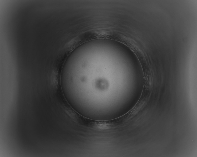 X0000103160710200808291450