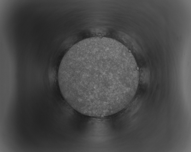 X0000103160713200808291450
