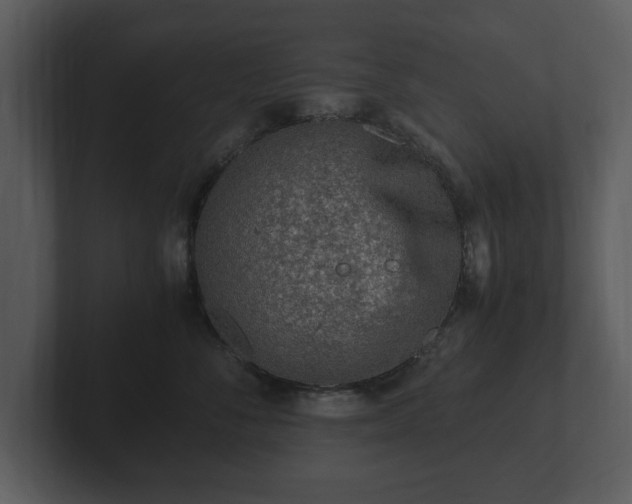 X0000103160716200808291450