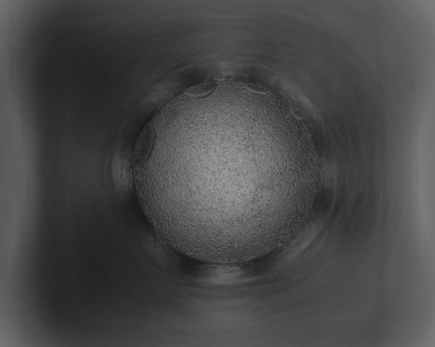 X0000103160719200808291450