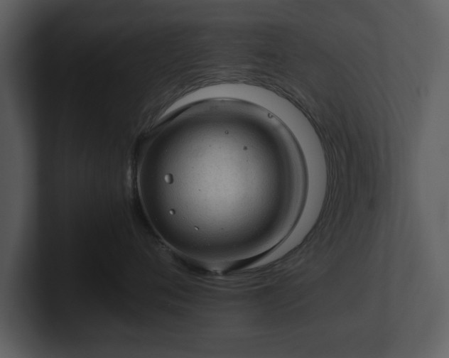 X0000103160720200808291450