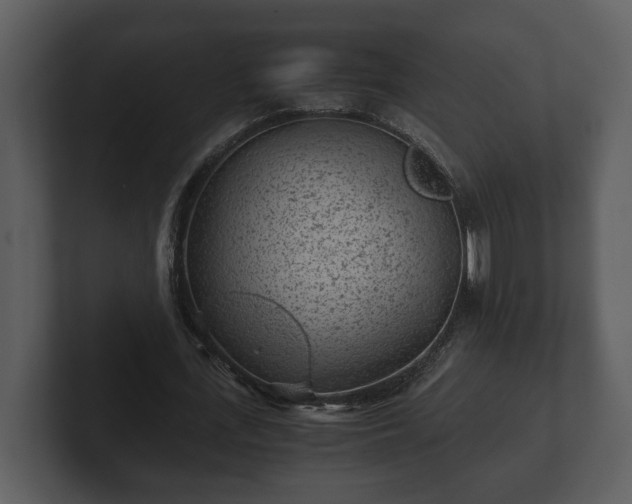 X0000103160723200808291449