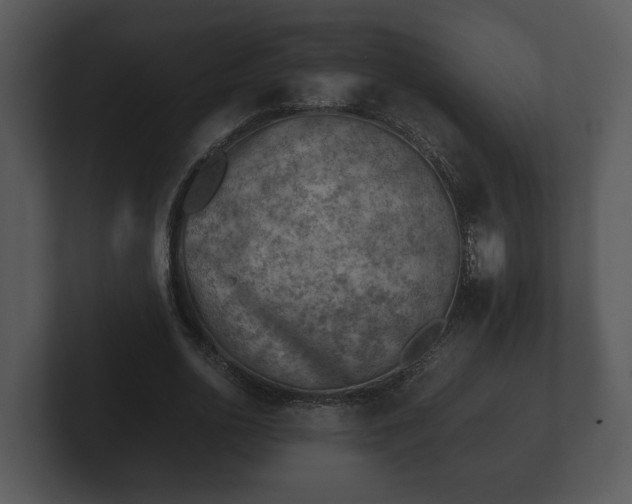 X0000103160726200808291449