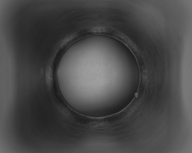 X0000103160727200808291449