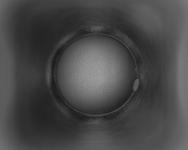 X0000103160728200808291450