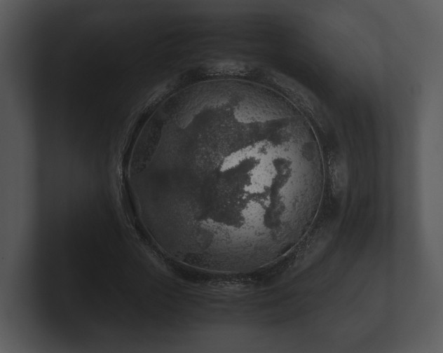 X0000103160729200808291450