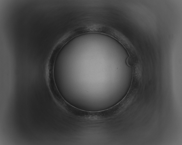 X0000103160730200808291450