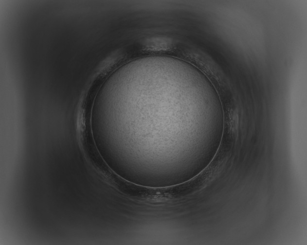 X0000103160731200808291450