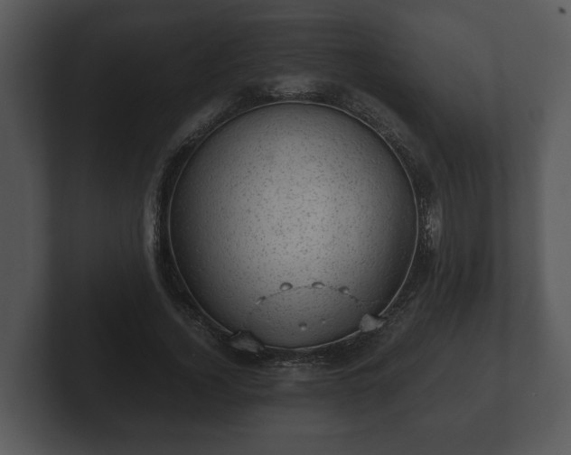 X0000103160732200808291450