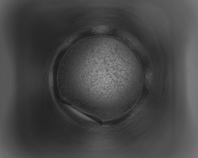 X0000103160734200808291450