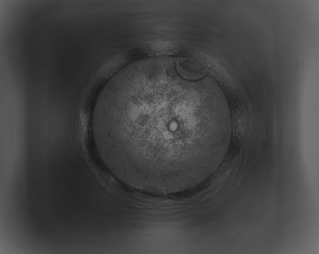 X0000103160742200808291450