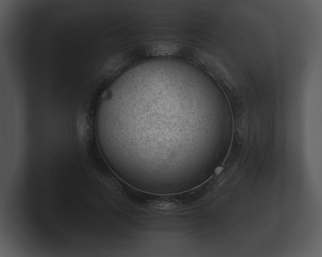 X0000103160743200808291450