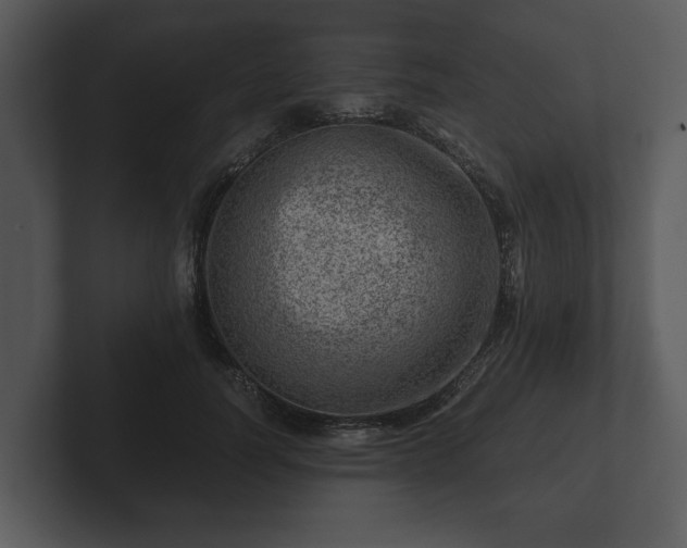 X0000103160746200808291450