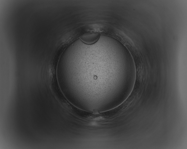 X0000103160747200808291450