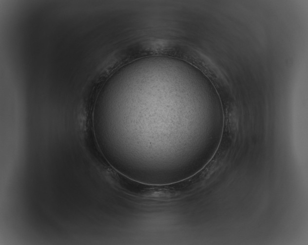 X0000103160750200808291450