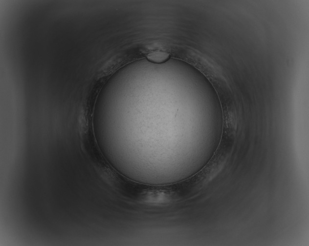 X0000103160751200808291450