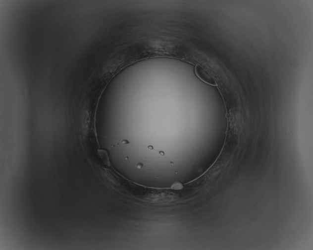 X0000103160752200808291450